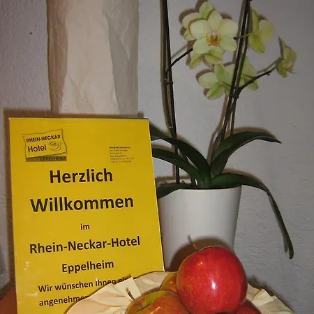Rhein-neckar-hotel 호텔 2*