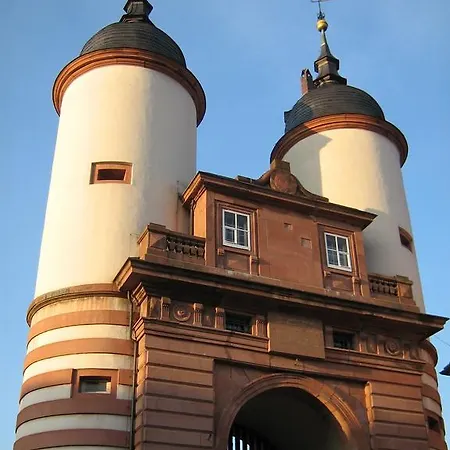 호텔 Rhein-neckar-hotel