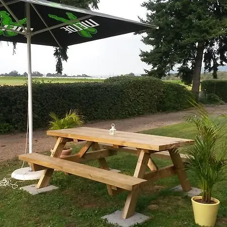 Rhein-neckar-hotel Hotel