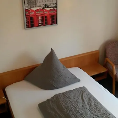 Rhein-neckar-hotel 하이델베르크