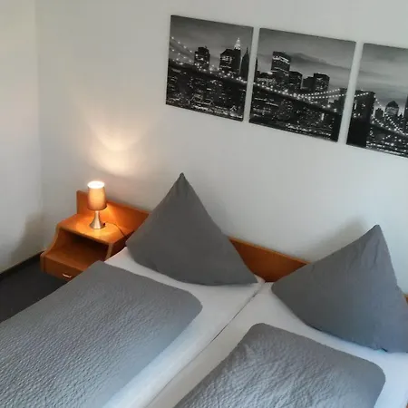 Rhein-neckar-hotel 2* 하이델베르크